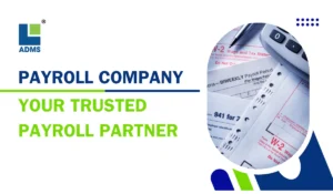 ADMS eBiz payroll Company in Sangavi Pimpri Chinchwad, Pune